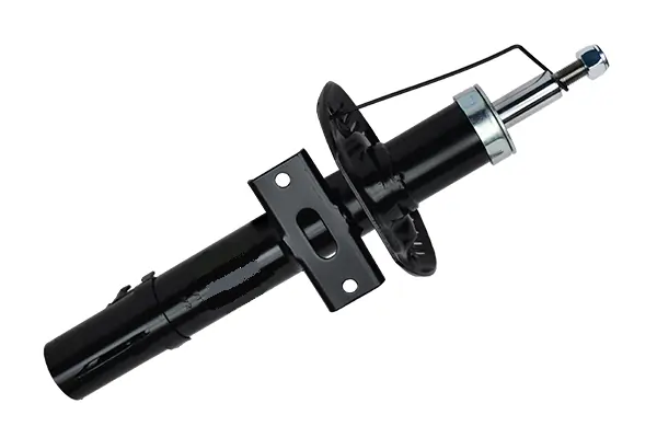 SACHS 560573