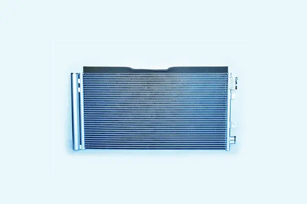 Renault 921003293R