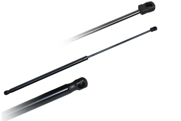 ASAM 79601