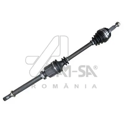ASAM 30541