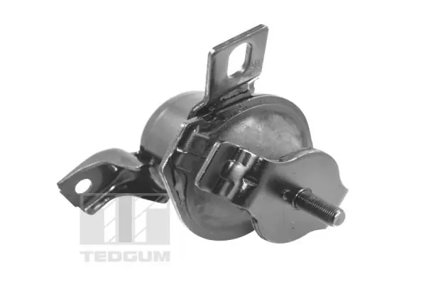 TedGum 00441120