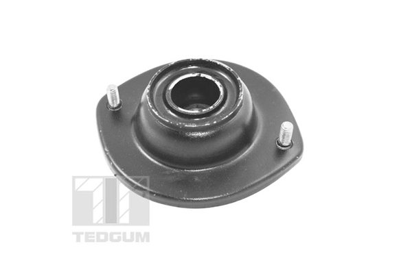 TedGum 00391600