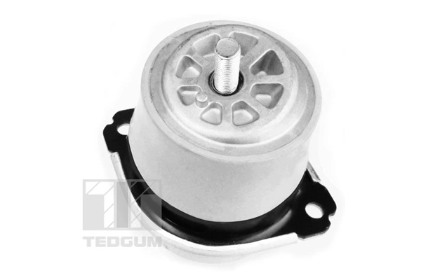 TedGum 00728486