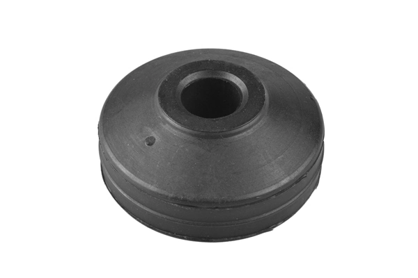 TedGum 00416484