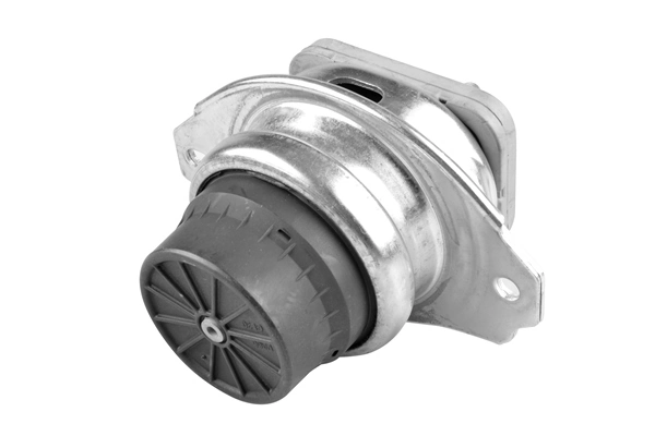 TedGum TED11003