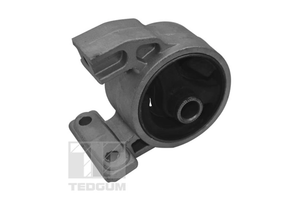 TedGum TED94977