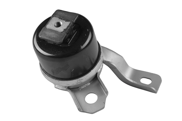 TedGum TED40730