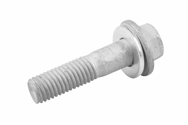 TedGum 00228296