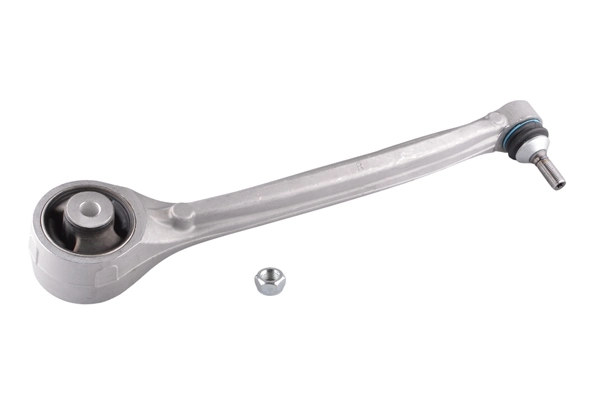 TedGum TED65365