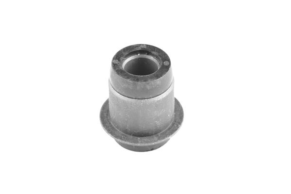 TedGum 00353216