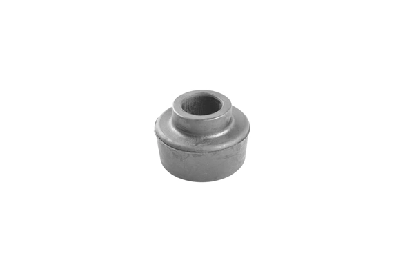 TedGum 00285182