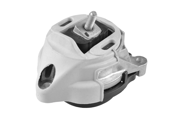 TedGum TED97955