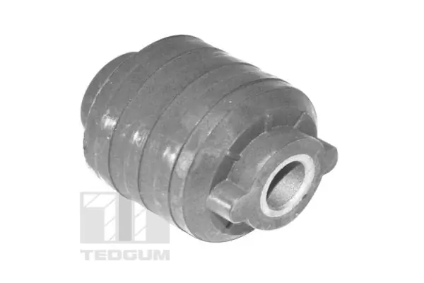 TedGum 00391173