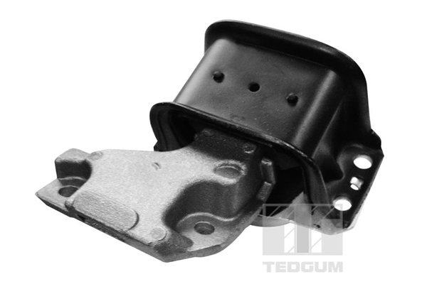 TedGum 00511756
