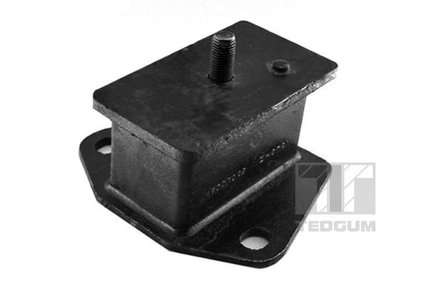 TedGum 00441699