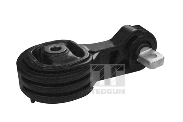 TedGum 00269388