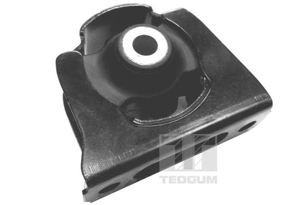 TedGum 00676365