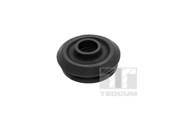 TedGum 00448991