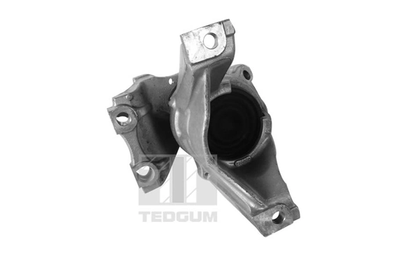 TedGum 00269182