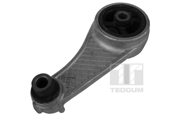 TedGum 00584310