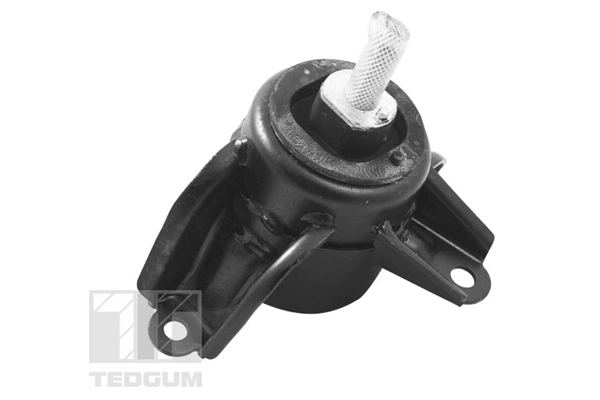 TedGum TED95921