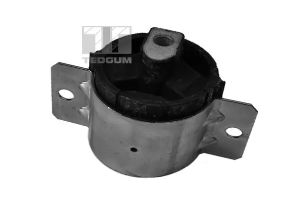TedGum 00416330