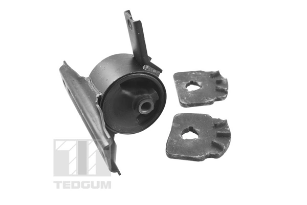 TedGum 00441135