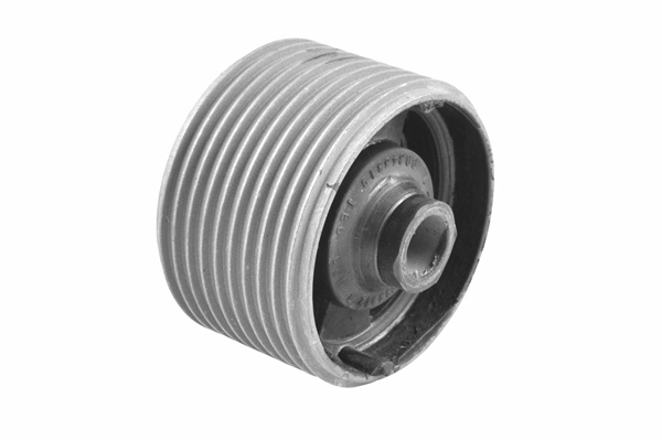 TedGum 00343319