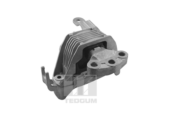 TedGum TED86251