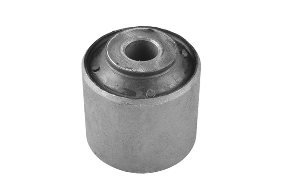 TedGum 00025557