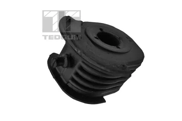 TedGum 00441664