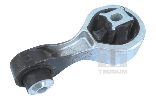 TedGum 00507121