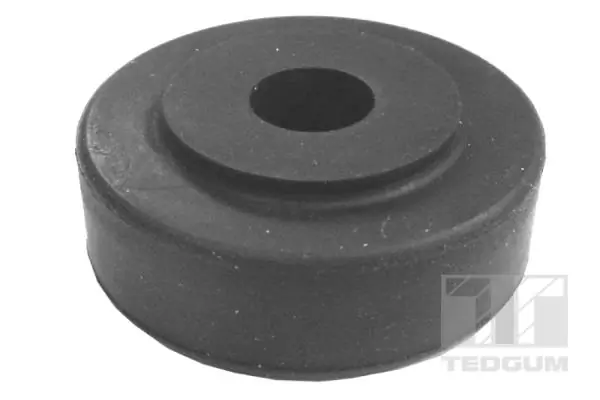 TedGum 01144951