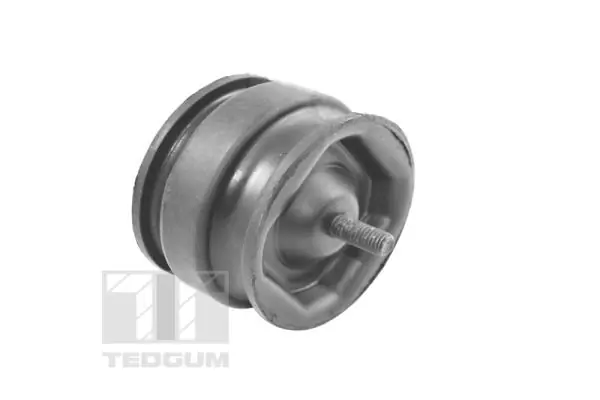 TedGum 00221175