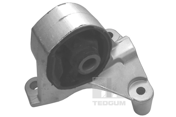 TedGum 00264833