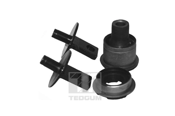 TedGum 00269456