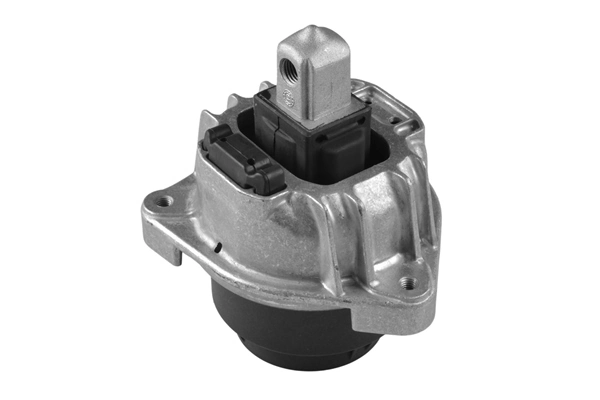 TedGum TED60977