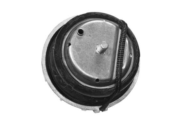 TedGum TED46098