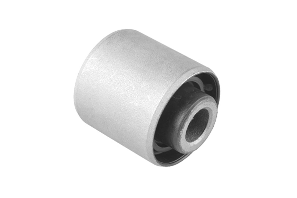 TedGum 00224453