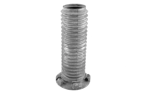 TedGum 00269372