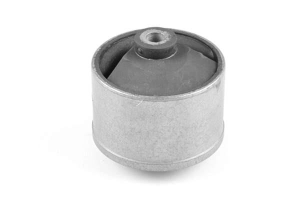 TedGum 00447927