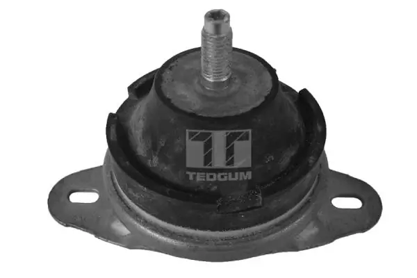 TedGum 00514176