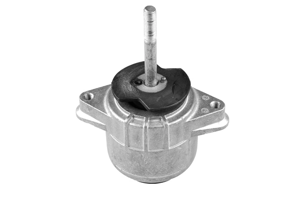 TedGum TED86959