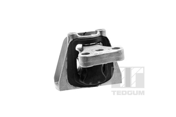 TedGum 00269162