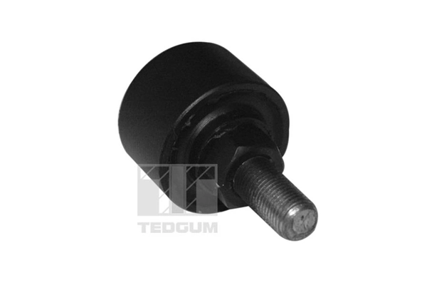 TedGum 00979596