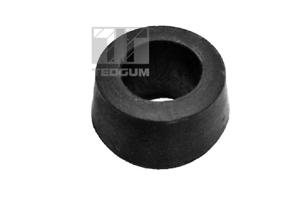 TedGum 00345858
