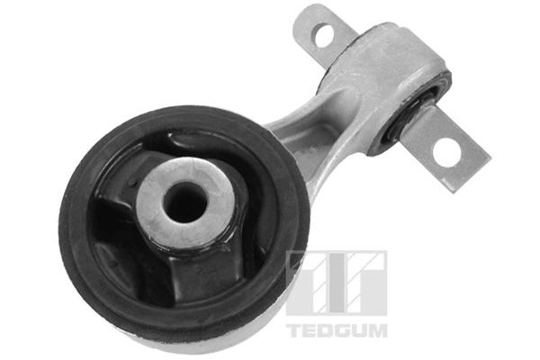 TedGum 00263053