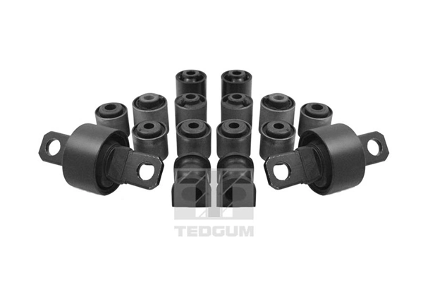 TedGum 00391094