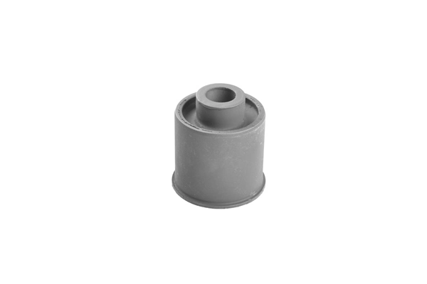 TedGum 00443443