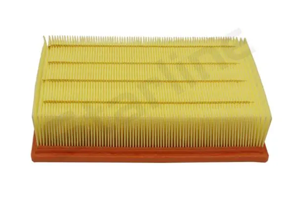 STARLINE SFVF7781